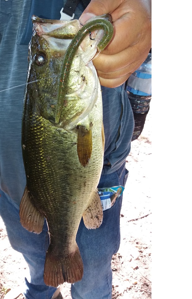 ESFISHING Soft Bait Fishing Se - огляд і ціна Fishing Equipment Ebay